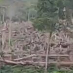 Perambahan Hutan di KPHL Batu Tegi, Warga Khawatirkan Dampak Lingkungan Capture 2025-10-19 14.36.35