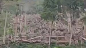 Capture 2025-10-19 14.36.35