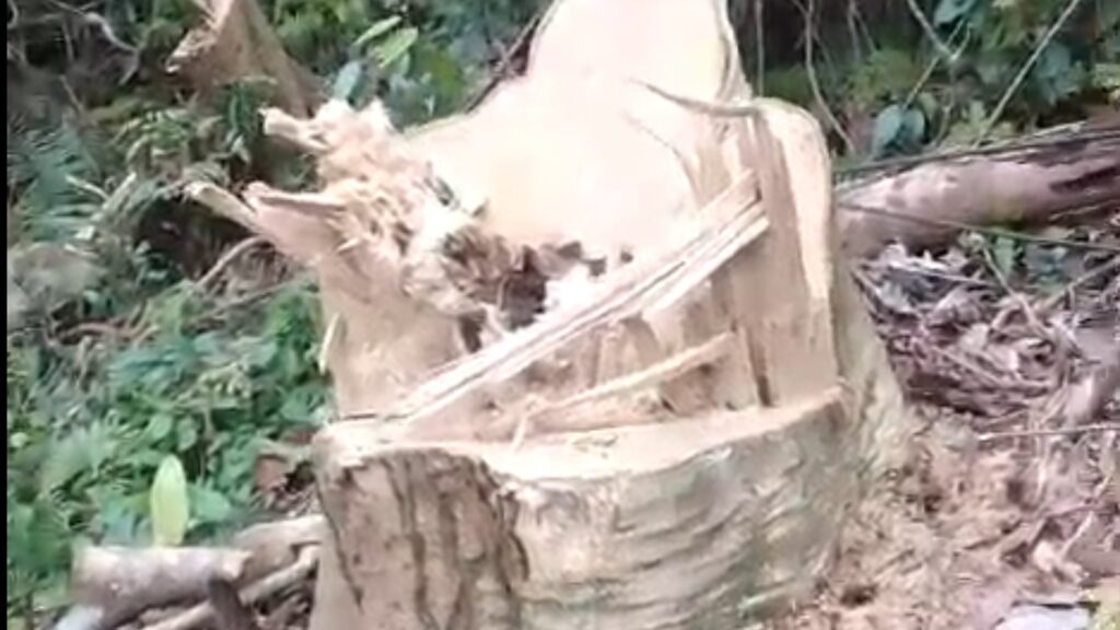 Capture 2025-10-19 20.48.22