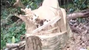 Capture 2025-10-19 20.48.22