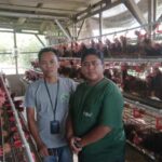 *BUMDes Mekarwangi Djaya Abadi Dorong Ketahanan Pangan Lewat Program Ayam Petelur 800 Ekor*