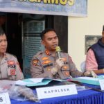 *KONFERENSI PERS DI POLSEK PULAU PANGGUNG: KAPOLRES TANGGAMUS AKBP RAHMAD SUJATMIKO UNGKAP KASUS PENCURIAN ULU BELU, KAPOLSEK IPTU SUAMIN JADI SOROTAN*